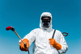 Best Fumigation Services  in Claypool, AZ